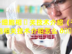 干细胞相 ☘ 关技术介绍（干细胞相关技术介绍怎么 🐞 写）